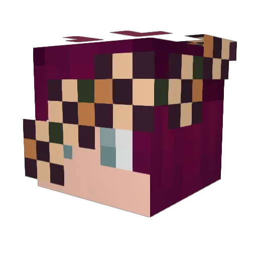 Negative_Numbers Minecraft avatar head, 3D render