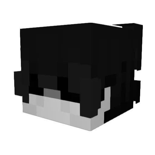 NeguinH1T4T1 Minecraft avatar head, 3D render