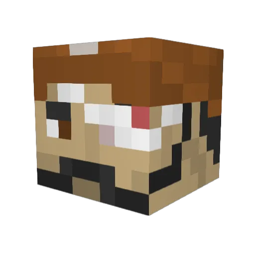 Nehmorio Minecraft avatar head, 3D render
