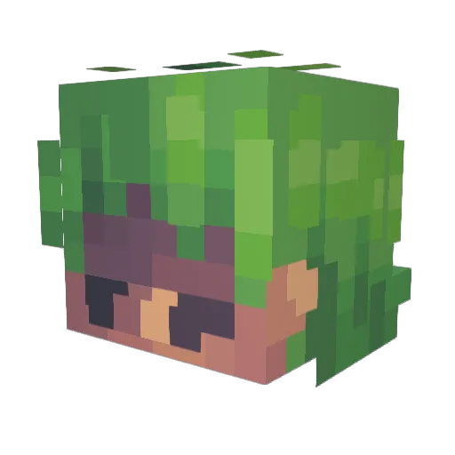 Nehtomal Minecraft avatar head, 3D render