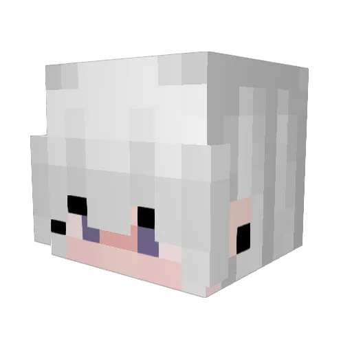 Neidlose Minecraft avatar head, 3D render