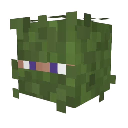 Neidra_Nilsem Minecraft avatar head, 3D render