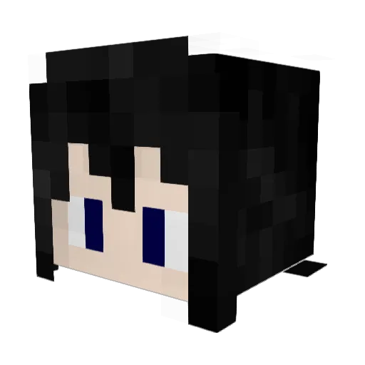 Neight99 Minecraft avatar head, 3D render