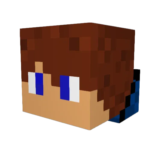 Neiht_ Minecraft avatar head, 3D render