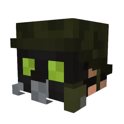 Neilanexpert22 Minecraft avatar head, 3D render