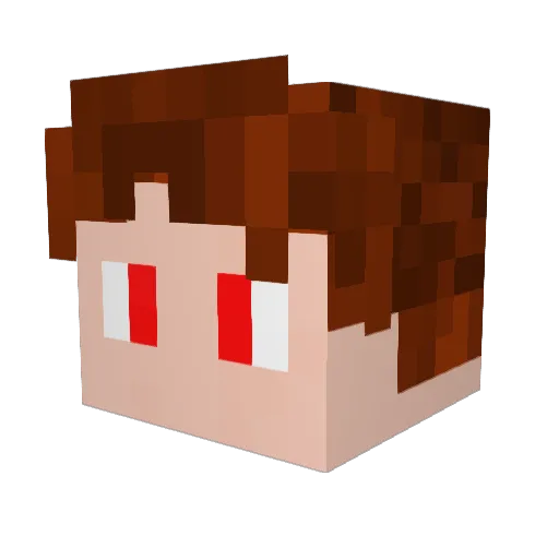 Neiler065 Minecraft avatar head, 3D render