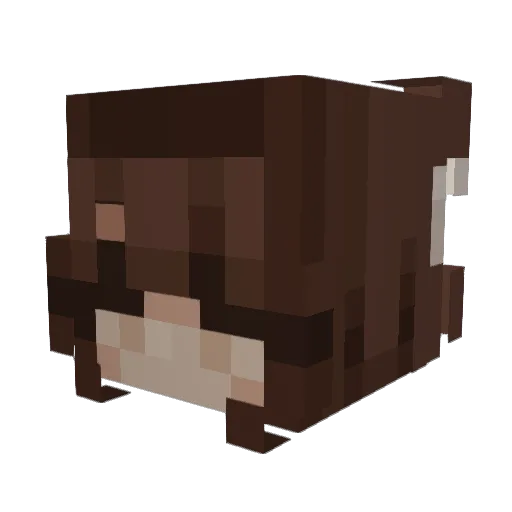 Neillyn Minecraft avatar head, 3D render