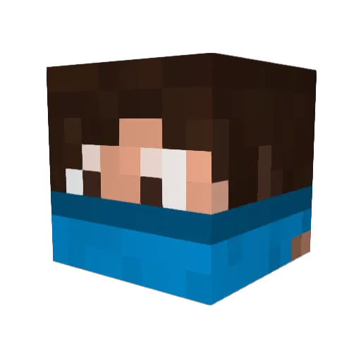 Neilujppn Minecraft avatar head, 3D render