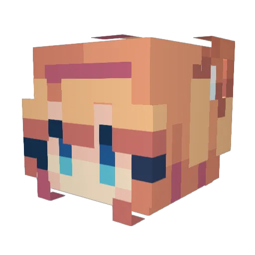 NeinTale Minecraft avatar head, 3D render
