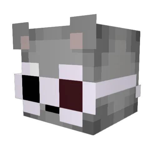 Nejfaz Minecraft avatar head, 3D render