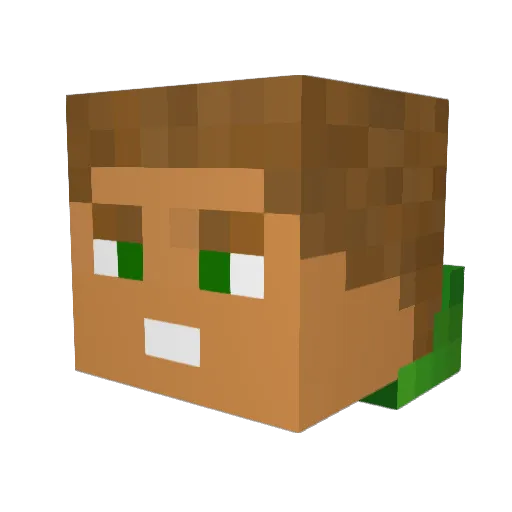 Nejm Minecraft avatar head, 3D render