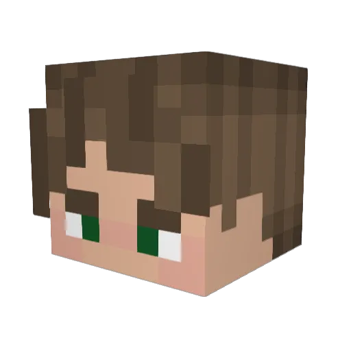 Nejsem_Ales Minecraft avatar head, 3D render