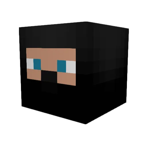 Nejxslo Minecraft avatar head, 3D render