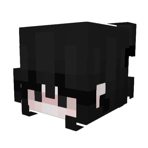 Nek0Paw Minecraft avatar head, 3D render