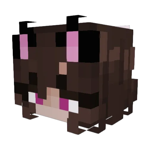 Nek0loli Minecraft avatar head, 3D render