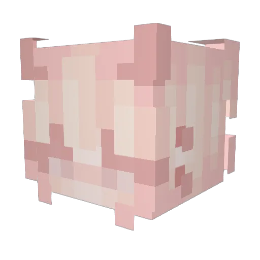 Nek1T2009 Minecraft avatar head, 3D render