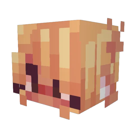 NekejiAmaya Minecraft avatar head, 3D render