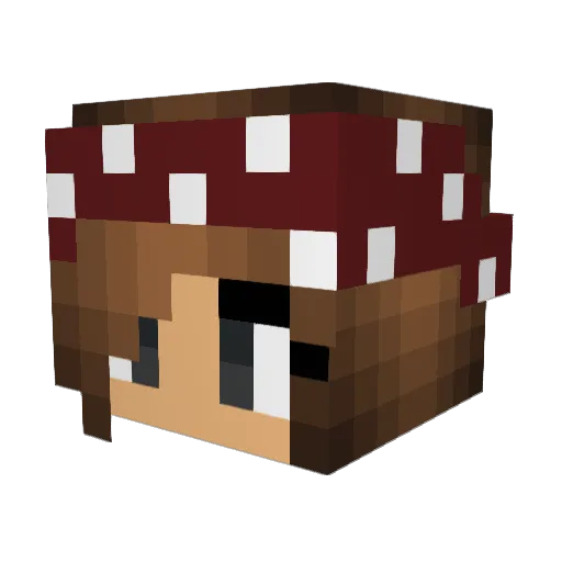 Nekfeu55 Minecraft avatar head, 3D render