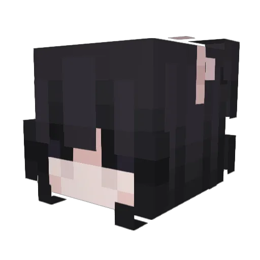 Nekkochu Minecraft avatar head, 3D render