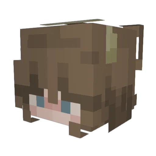 Neko207 Minecraft avatar head, 3D render