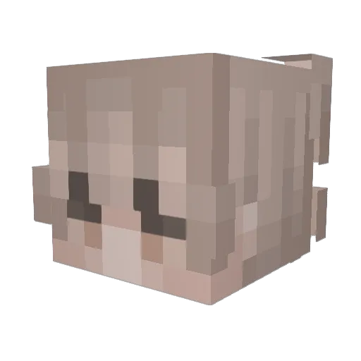 NekoCafee Minecraft avatar head, 3D render