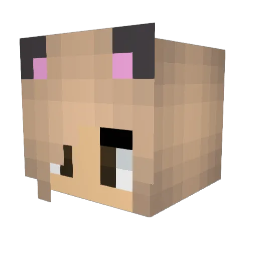 NekoCatCupcake Minecraft avatar head, 3D render