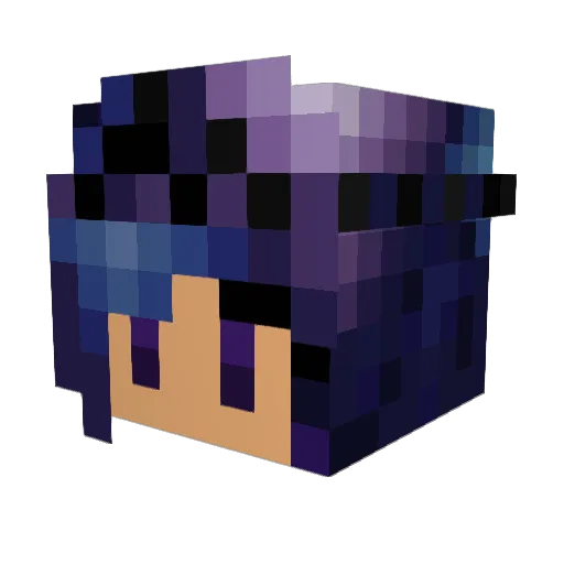 NekoDragon22 Minecraft avatar head, 3D render