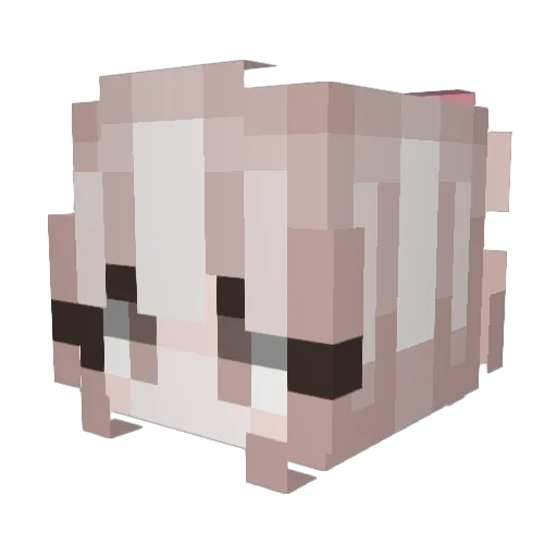 NekoForceOne Minecraft avatar head, 3D render