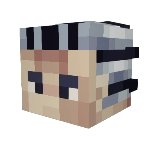 NekoTheCat24 Minecraft avatar head, 3D render