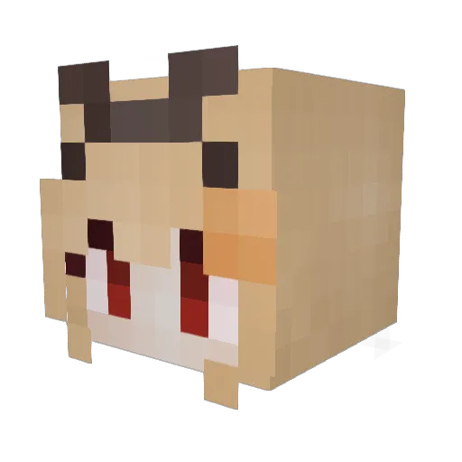 Neko_Nation Minecraft avatar head, 3D render