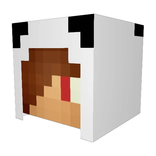 Neko_Panda Minecraft avatar head, 3D render