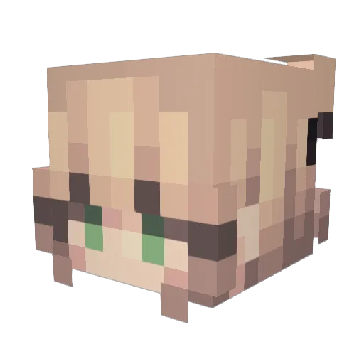 Neko_chxn Minecraft avatar head, 3D render