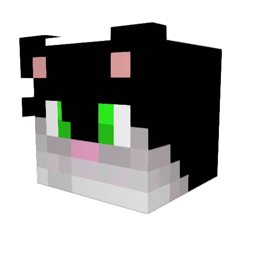 Nekoblast Minecraft avatar head, 3D render