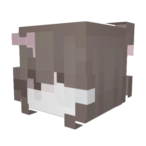 NekochiquiEnjoy Minecraft avatar head, 3D render