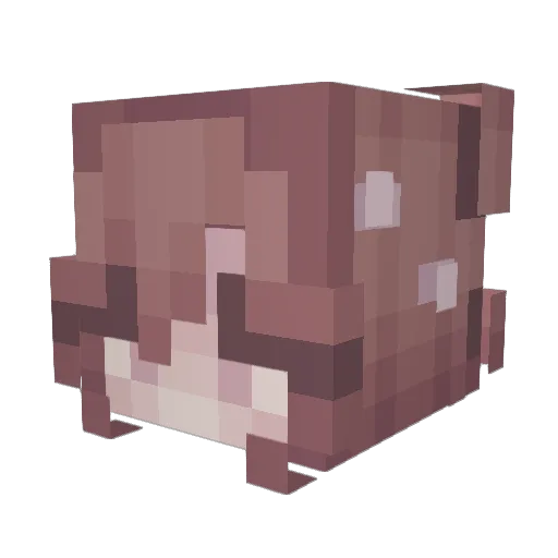 Nekomill Minecraft avatar head, 3D render