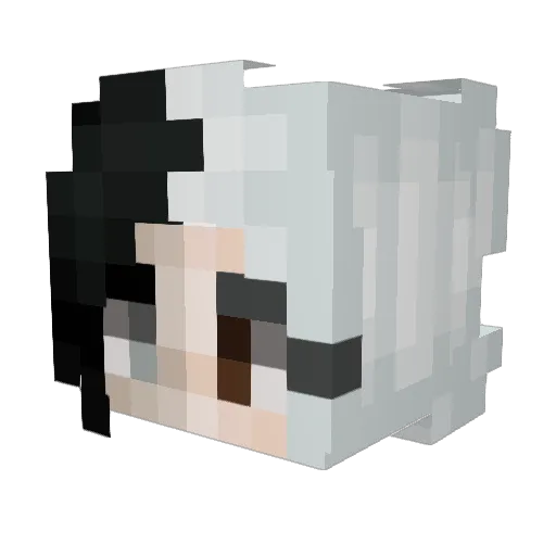 NekopoiStreet Minecraft avatar head, 3D render