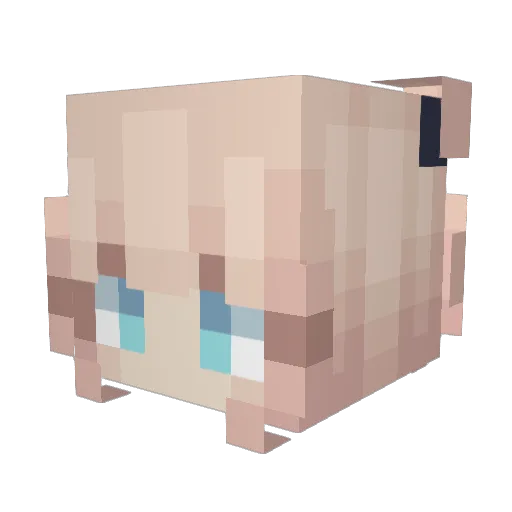 NekronNN Minecraft avatar head, 3D render