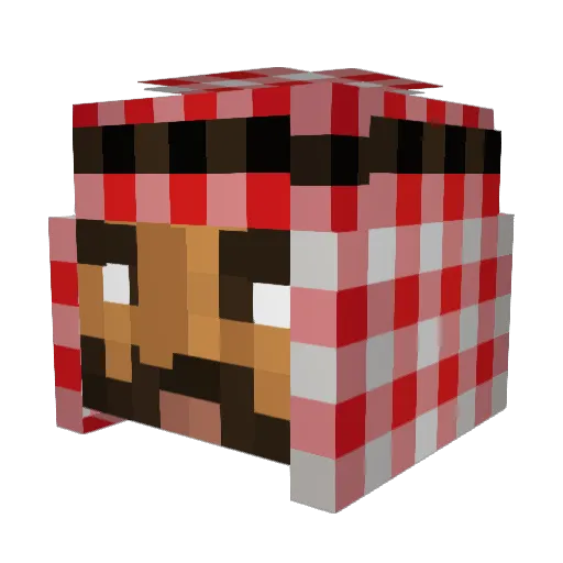 NektarinenN Minecraft avatar head, 3D render