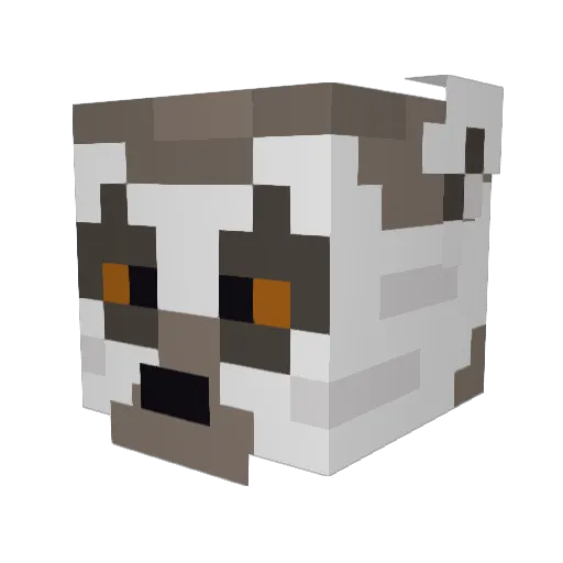 Nela69 Minecraft avatar head, 3D render