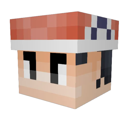 Nelaye Minecraft avatar head, 3D render