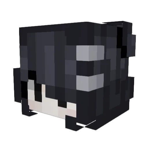 Nelchael Minecraft avatar head, 3D render