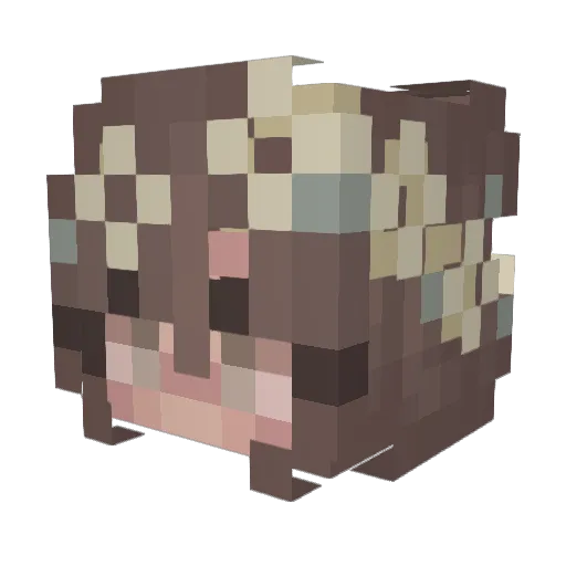 NeleNein Minecraft avatar head, 3D render