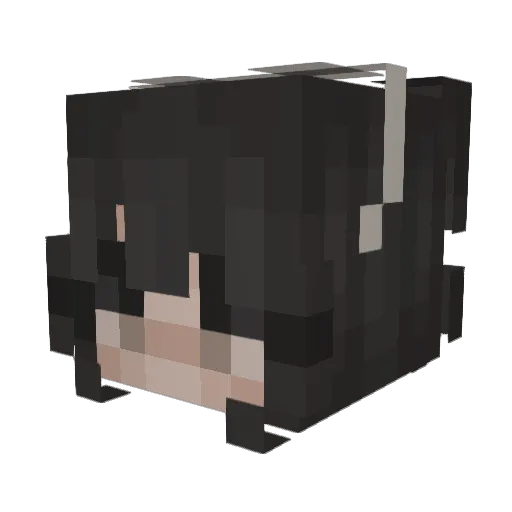 Nelinoo Minecraft avatar head, 3D render