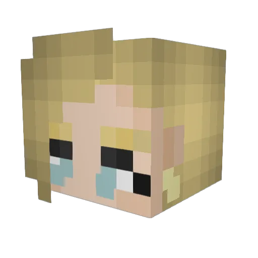 Nelipau Minecraft avatar head, 3D render