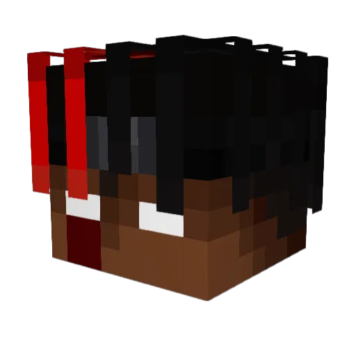 Nelisopdebrummer Minecraft avatar head, 3D render