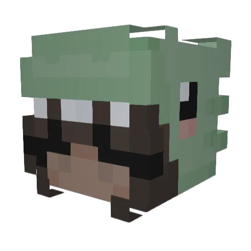 Nelkaaaaaa Minecraft avatar head, 3D render