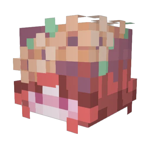 Nell_Osx Minecraft avatar head, 3D render