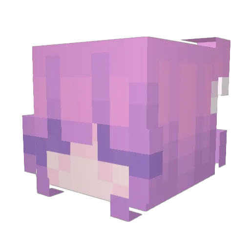 Nella5795 Minecraft avatar head, 3D render