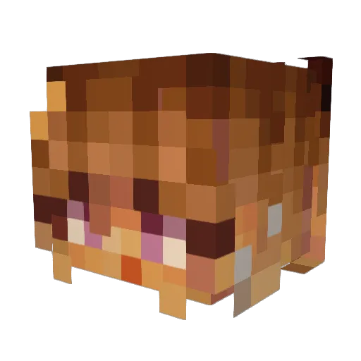 Nellavuu Minecraft avatar head, 3D render