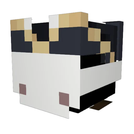 Nellaz Minecraft avatar head, 3D render
